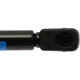 Purchase Top-Quality Lift Support by STRONG ARM - 4031 pa7