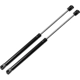Purchase Top-Quality Lift Support by STRONG ARM - 4046 pa5