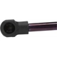 Purchase Top-Quality Lift Support by STRONG ARM - 4047 pa8