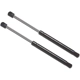 Purchase Top-Quality Lift Support by STRONG ARM - 4063 pa9