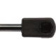 Purchase Top-Quality Lift Support by STRONG ARM - 4066 pa8