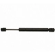 Purchase Top-Quality Lift Support by STRONG ARM - 4067 pa9