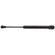 Purchase Top-Quality Lift Support by STRONG ARM - 4068 pa1