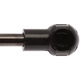 Purchase Top-Quality Lift Support by STRONG ARM - 4068 pa5