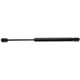 Purchase Top-Quality STRONG ARM - 4069 - Lift Support pa8