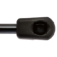 Purchase Top-Quality STRONG ARM - 4069 - Lift Support pa9