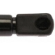 Purchase Top-Quality Lift Support by STRONG ARM - 4070 pa11