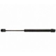 Purchase Top-Quality Lift Support by STRONG ARM - 4070 pa9
