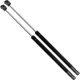 Purchase Top-Quality Lift Support by STRONG ARM - 4072 pa5