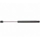Purchase Top-Quality Lift Support by STRONG ARM - 4072 pa6