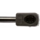 Purchase Top-Quality Lift Support by STRONG ARM - 4073 pa2