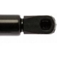 Purchase Top-Quality Lift Support by STRONG ARM - 4073 pa3