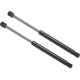 Purchase Top-Quality Lift Support by STRONG ARM - 4075 pa9
