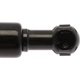 Purchase Top-Quality Lift Support by STRONG ARM - 4078 pa8