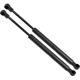 Purchase Top-Quality Lift Support by STRONG ARM - 4078 pa9