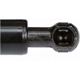 Purchase Top-Quality Lift Support by STRONG ARM - 4094 pa2