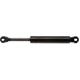 Purchase Top-Quality Lift Support by STRONG ARM - 4101 pa2