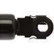 Purchase Top-Quality Lift Support by STRONG ARM - 4103 pa8