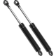 Purchase Top-Quality Lift Support by STRONG ARM - 4105 pa5
