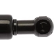 Purchase Top-Quality Lift Support by STRONG ARM - 4115 pa11