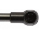 Purchase Top-Quality Lift Support by STRONG ARM - 4115 pa6