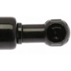 Purchase Top-Quality Lift Support by STRONG ARM - 4115 pa7