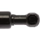 Purchase Top-Quality Lift Support by STRONG ARM - 4116 pa8