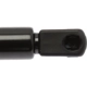 Purchase Top-Quality Lift Support by STRONG ARM - 4119 pa8