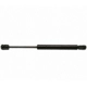 Purchase Top-Quality Lift Support by STRONG ARM - 4120 pa5
