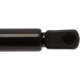 Purchase Top-Quality Lift Support by STRONG ARM - 4120 pa8