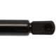 Purchase Top-Quality Lift Support by STRONG ARM - 4122 pa8