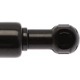 Purchase Top-Quality Lift Support by STRONG ARM - 4124 pa7