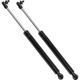 Purchase Top-Quality Lift Support by STRONG ARM - 4132 pa7