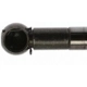 Purchase Top-Quality Lift Support by STRONG ARM - 4138 pa2
