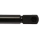 Purchase Top-Quality Lift Support by STRONG ARM - 4142 pa7