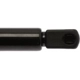 Purchase Top-Quality Lift Support by STRONG ARM - 4143 pa7