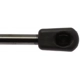 Purchase Top-Quality Lift Support by STRONG ARM - 4143 pa8