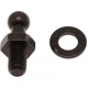 Purchase Top-Quality Lift Support by STRONG ARM - 4146 pa10