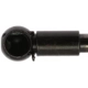 Purchase Top-Quality Lift Support by STRONG ARM - 4146 pa8