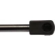 Purchase Top-Quality Lift Support by STRONG ARM - 4150 pa8