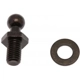 Purchase Top-Quality Lift Support by STRONG ARM - 4156R pa9