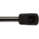 Purchase Top-Quality Lift Support by STRONG ARM - 4162 pa7
