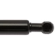 Purchase Top-Quality Lift Support by STRONG ARM - 4162 pa8