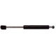 Purchase Top-Quality Lift Support by STRONG ARM - 4171 pa1