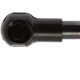 Purchase Top-Quality STRONG ARM - 4172 - Lift Support pa10