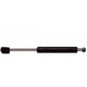 Purchase Top-Quality Lift Support by STRONG ARM - 4175 pa1