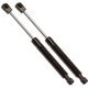Purchase Top-Quality Lift Support by STRONG ARM - 4175 pa2