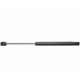 Purchase Top-Quality Lift Support by STRONG ARM - 4178 pa6