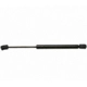 Purchase Top-Quality Lift Support by STRONG ARM - 4182 pa1