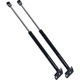 Purchase Top-Quality Lift Support by STRONG ARM - 4183 pa5